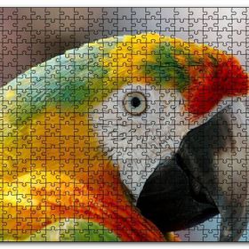 Cakapuzzle Amerikan Papağanı Mdf 120 Parça Puzzle