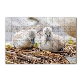 Cakapuzzle Anne Altında İki Sevimli Kuğu Yavrusu 120 Parça Ahşap Puzzle