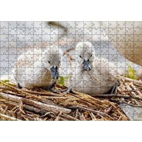 Cakapuzzle Anne Altında İki Sevimli Kuğu Yavrusu 120 Parça Ahşap Puzzle