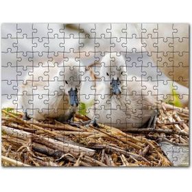 Cakapuzzle Anne Altında İki Sevimli Kuğu Yavrusu Mdf 255 Parça Puzzle