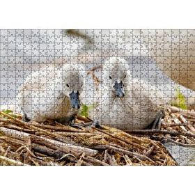 Cakapuzzle Anne Altında İki Sevimli Kuğu Yavrusu Mdf 500 Parça Puzzle