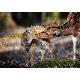 Cakapuzzle Anne Karaca ve Yavrusu 120 Parça Ahşap Puzzle
