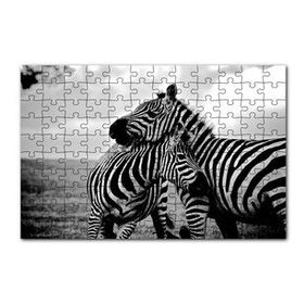 Cakapuzzle Anne Zebra ve Yavrusu Siyah Beyaz 120 Parça Ahşap Puzzle