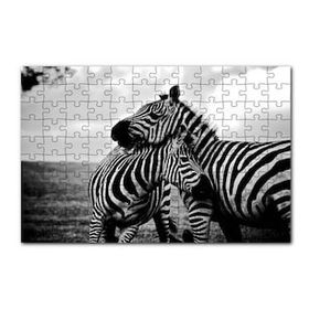 Cakapuzzle Anne Zebra ve Yavrusu Siyah Beyaz 120 Parça Ahşap Puzzle