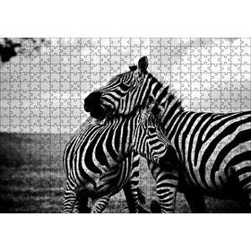 Cakapuzzle Anne Zebra ve Yavrusu Siyah Beyaz 120 Parça Ahşap Puzzle