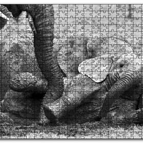 Cakapuzzle Annesiyle Çamurda Oynayan Yavru Fil Siyah Beyaz Mdf 255 Parça Puzzle