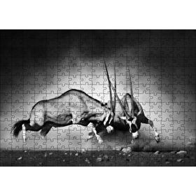 Cakapuzzle Antilop Kavgası 120 Parça Ahşap Puzzle