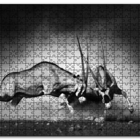 Cakapuzzle Antilop Kavgası Mdf 1000 Parça Puzzle