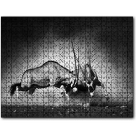 Cakapuzzle Antilop Kavgası Mdf 1000 Parça Puzzle