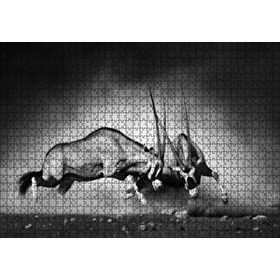 Cakapuzzle Antilop Kavgası Mdf 1000 Parça Puzzle