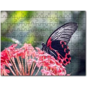 Cakapuzzle Anubis ve Çıplak Tutsakları Mdf 255 Parça Puzzle