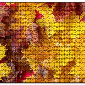 Cakapuzzle Arı Dökülmüş Sonbahar Yaprakları Yakın Çekim Mdf 120 Parça Puzzle