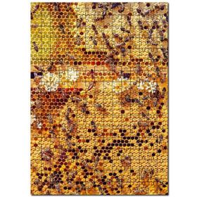 Cakapuzzle Arı Peteği Görseli Mdf 120 Parça Puzzle