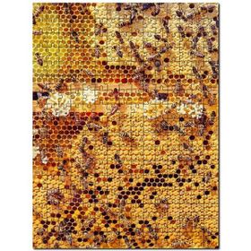Cakapuzzle Arı Peteği Görseli Mdf 120 Parça Puzzle
