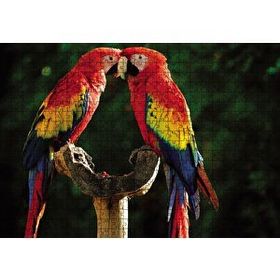 Cakapuzzle Aşık Papaganlar 120 Parça Ahşap Puzzle