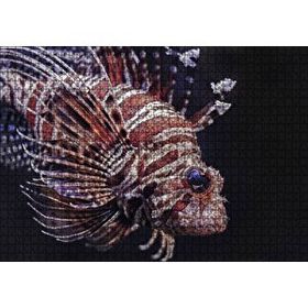 Cakapuzzle Aslan Balığı Yakın Çekim Karanlık Arkaplan Mdf 1000 Parça Puzzle