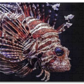Cakapuzzle Aslan Balığı Yakın Çekim Karanlık Arkaplan Mdf 120 Parça Puzzle