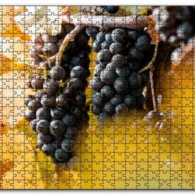 Cakapuzzle Asma Dalında Kara Üzümler Mdf 1000 Parça Puzzle