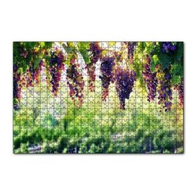 Cakapuzzle Asma Üzümü Kırmızı Üzüm Görseli 120 Parça Ahşap Puzzle