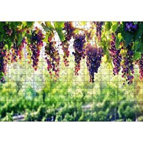 Cakapuzzle Asma Üzümü Kırmızı Üzüm Görseli 120 Parça Ahşap Puzzle