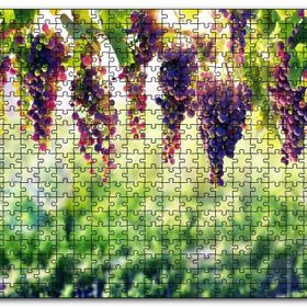 Cakapuzzle Asma Üzümü Kırmızı Üzüm Görseli Mdf 120 Parça Puzzle