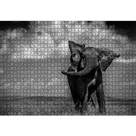 Cakapuzzle Asya Fili Ahşap 1000 Parça Puzzle