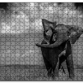Cakapuzzle Asya Fili Ahşap 500 Parça Puzzle