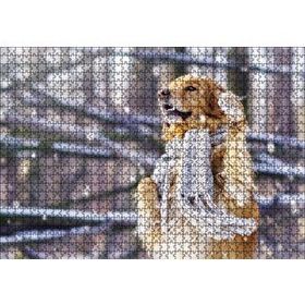 Cakapuzzle Atkılı Köpek 120 Parça Ahşap Puzzle