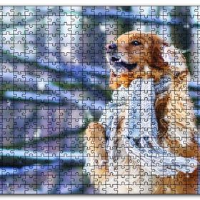 Cakapuzzle Atkılı Köpek Mdf 120 Parça Puzzle