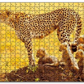 Cakapuzzle Atletik Çita ve Sevimli Yavruları Mdf 255 Parça Puzzle