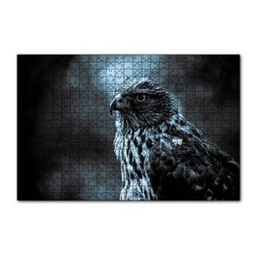 Cakapuzzle Atmaca Yakın Çekim 120 Parça Ahşap Puzzle