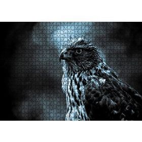 Cakapuzzle Atmaca Yakın Çekim 120 Parça Ahşap Puzzle