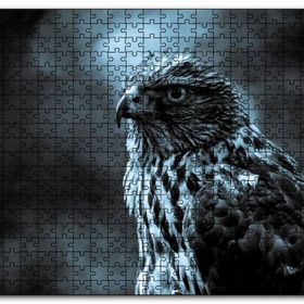 Cakapuzzle Atmaca Yakın Çekim Mdf 1000 Parça Puzzle