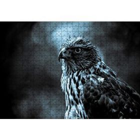 Cakapuzzle Atmaca Yakın Çekim Mdf 500 Parça Puzzle