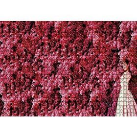 Cakapuzzle Audrey Hepburn Kırmızı Çiçekler Önünde Ahşap 1000 Parça Puzzle