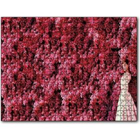 Cakapuzzle Audrey Hepburn Kırmızı Çiçekler Önünde Ahşap 255 Parça Puzzle