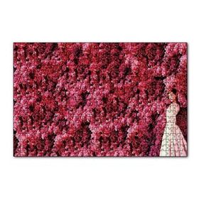 Cakapuzzle Audrey Hepburn Kırmızı Çiçekler Önünde Puzzle