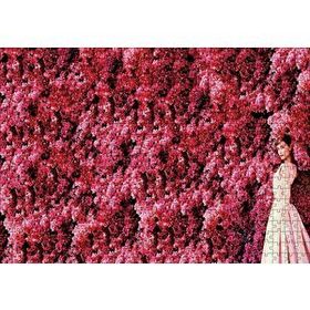 Cakapuzzle Audrey Hepburn Kırmızı Çiçekler Önünde Puzzle