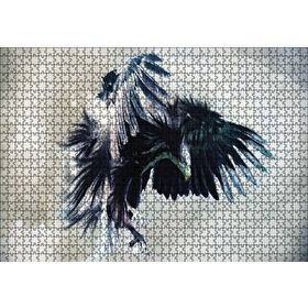 Cakapuzzle Av Hedefli Kartal Puzzle