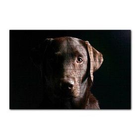 Cakapuzzle Av Köpeği Evcil Hayvanla 120 Parça Ahşap Puzzle
