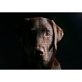 Cakapuzzle Av Köpeği Evcil Hayvanla 120 Parça Ahşap Puzzle