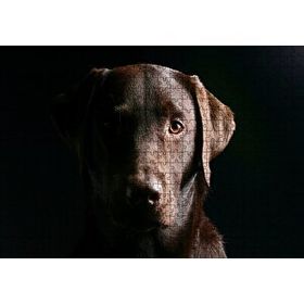Cakapuzzle Av Köpeği Evcil Hayvanla 120 Parça Ahşap Puzzle