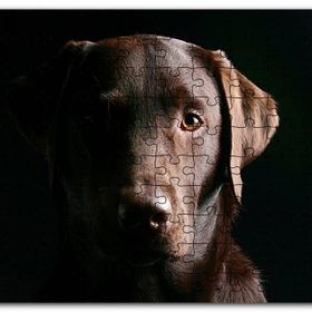 Cakapuzzle Av Köpeği Evcil Hayvanla Mdf 1000 Parça Puzzle