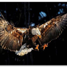 Cakapuzzle Avına Hücum Eden Kartal Görseli Mdf 120 Parça Puzzle