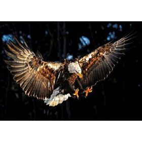 Cakapuzzle Avına Hücum Eden Kartal Görseli Mdf 120 Parça Puzzle
