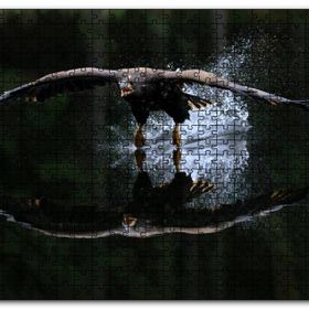 Cakapuzzle Avlanan Balıkçı Kartalı Mdf 120 Parça Puzzle