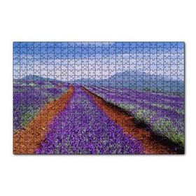 Cakapuzzle Avustralya Tazmanya Lavanta Tarlaları 120 Parça Ahşap Puzzle