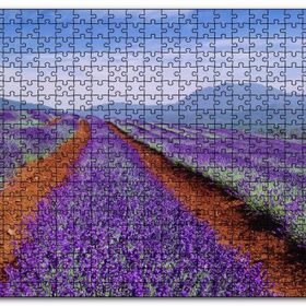 Cakapuzzle Avustralya Tazmanya Lavanta Tarlaları Mdf 255 Parça Puzzle