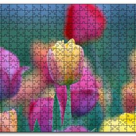 Cakapuzzle Baharda Renkli Laleler Görseli Mdf 1000 Parça Puzzle