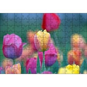 Cakapuzzle Baharda Renkli Laleler Görseli Mdf 120 Parça Puzzle